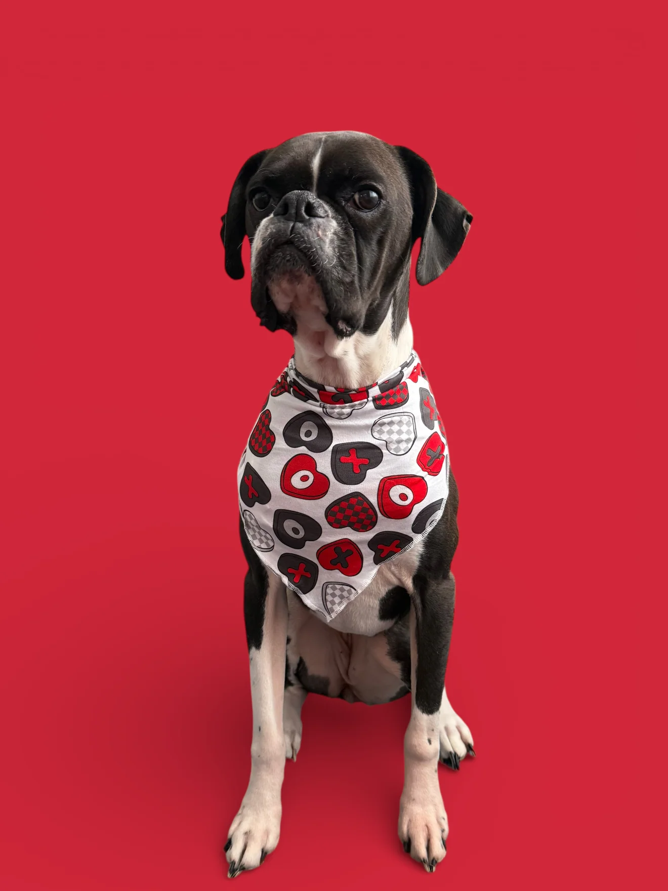 CROSS MY HEART DREAM DOG BANDANA - Image 4