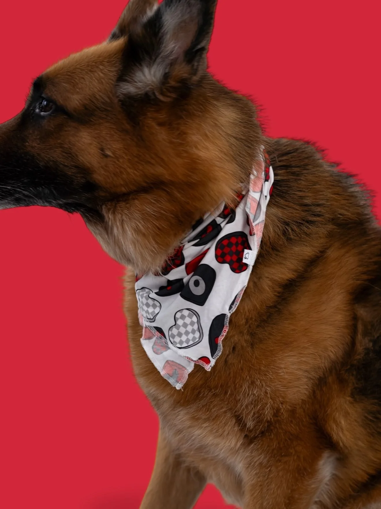 CROSS MY HEART DREAM DOG BANDANA - Image 5