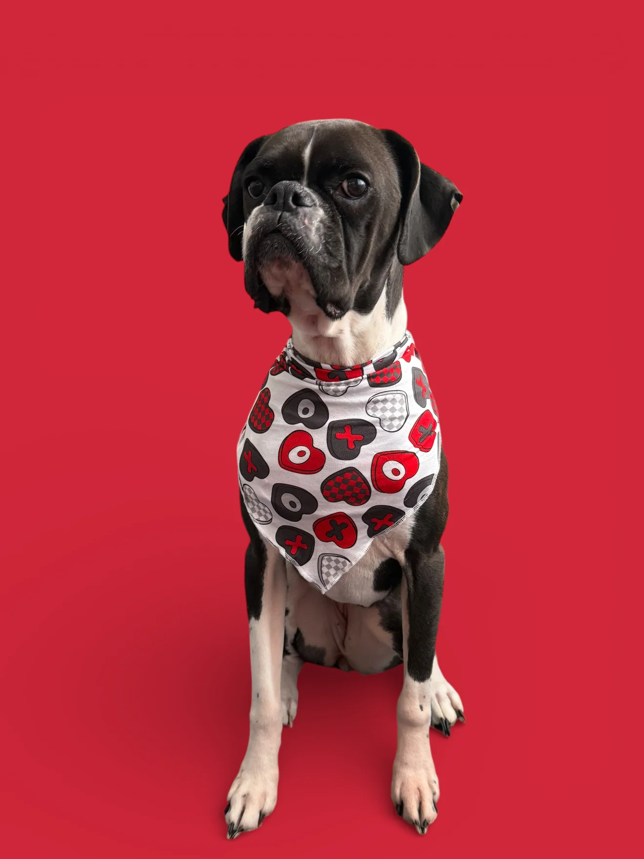 CROSS MY HEART DREAM DOG BANDANA - Image 7