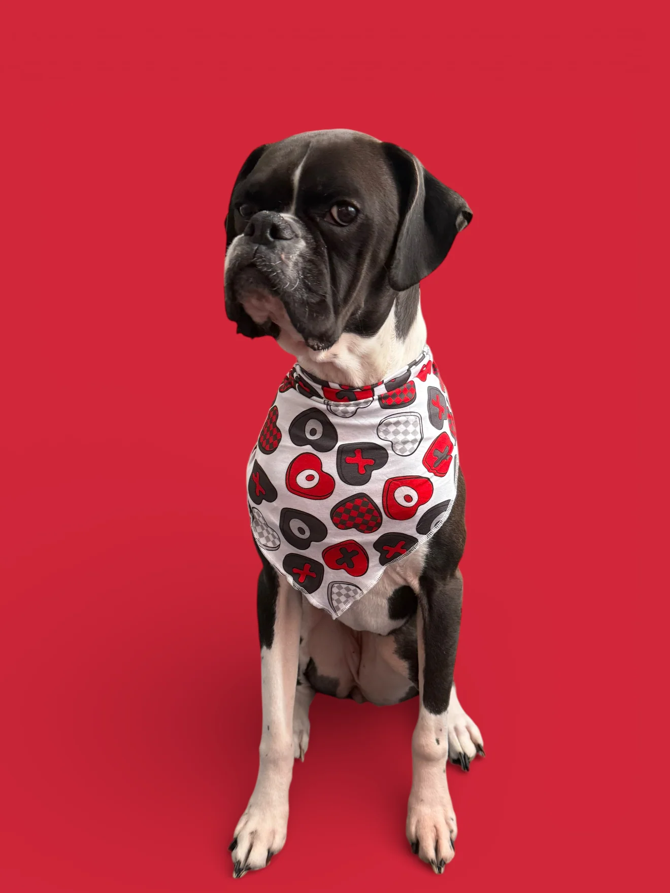 CROSS MY HEART DREAM DOG BANDANA - Image 9