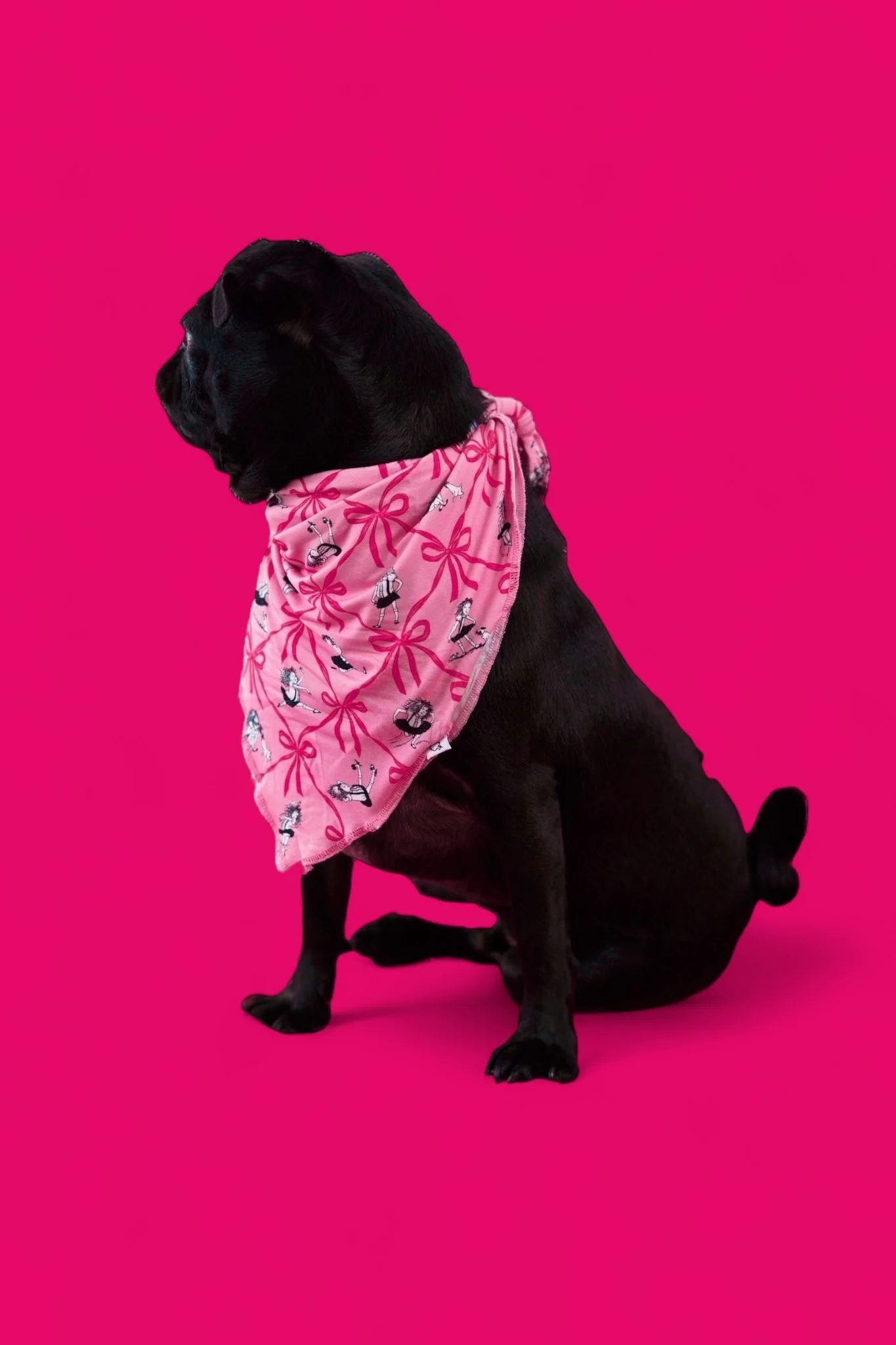 ELOISE ROYAL RIBBONS DREAM DOG BANDANA - Image 7