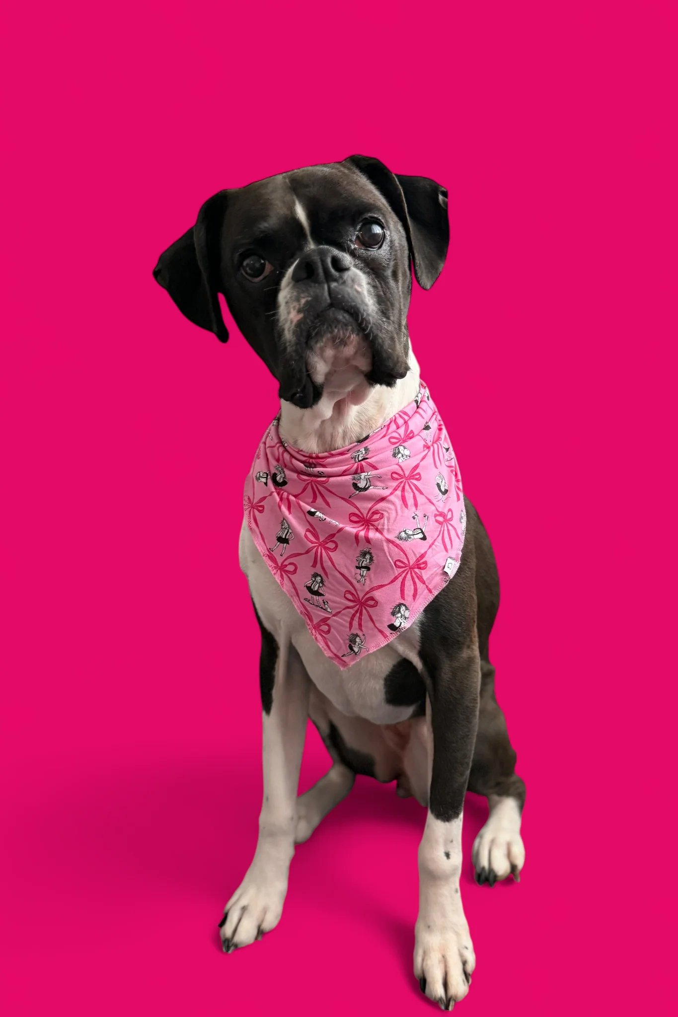 ELOISE ROYAL RIBBONS DREAM DOG BANDANA - Image 8