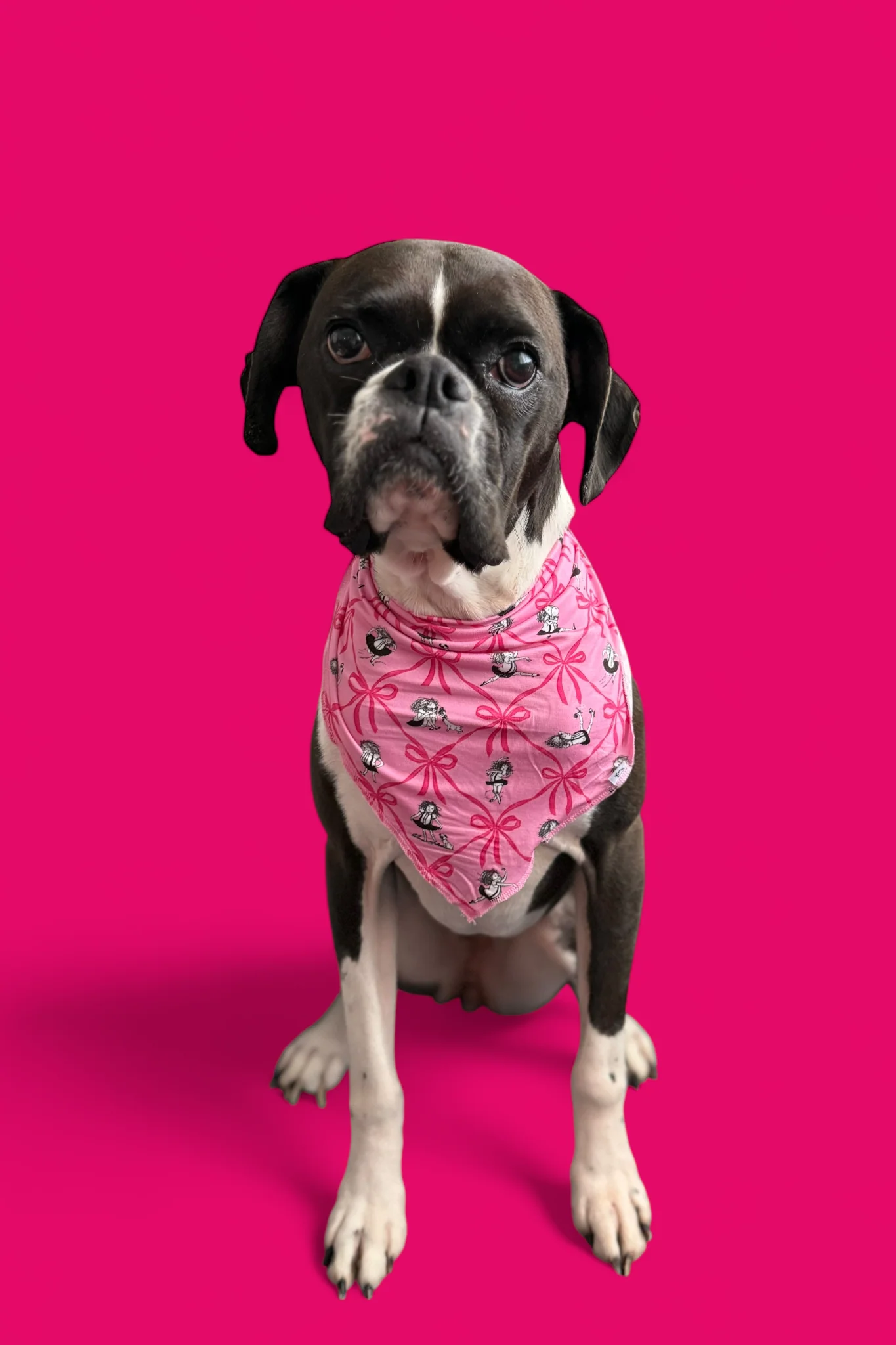 ELOISE ROYAL RIBBONS DREAM DOG BANDANA - Image 9