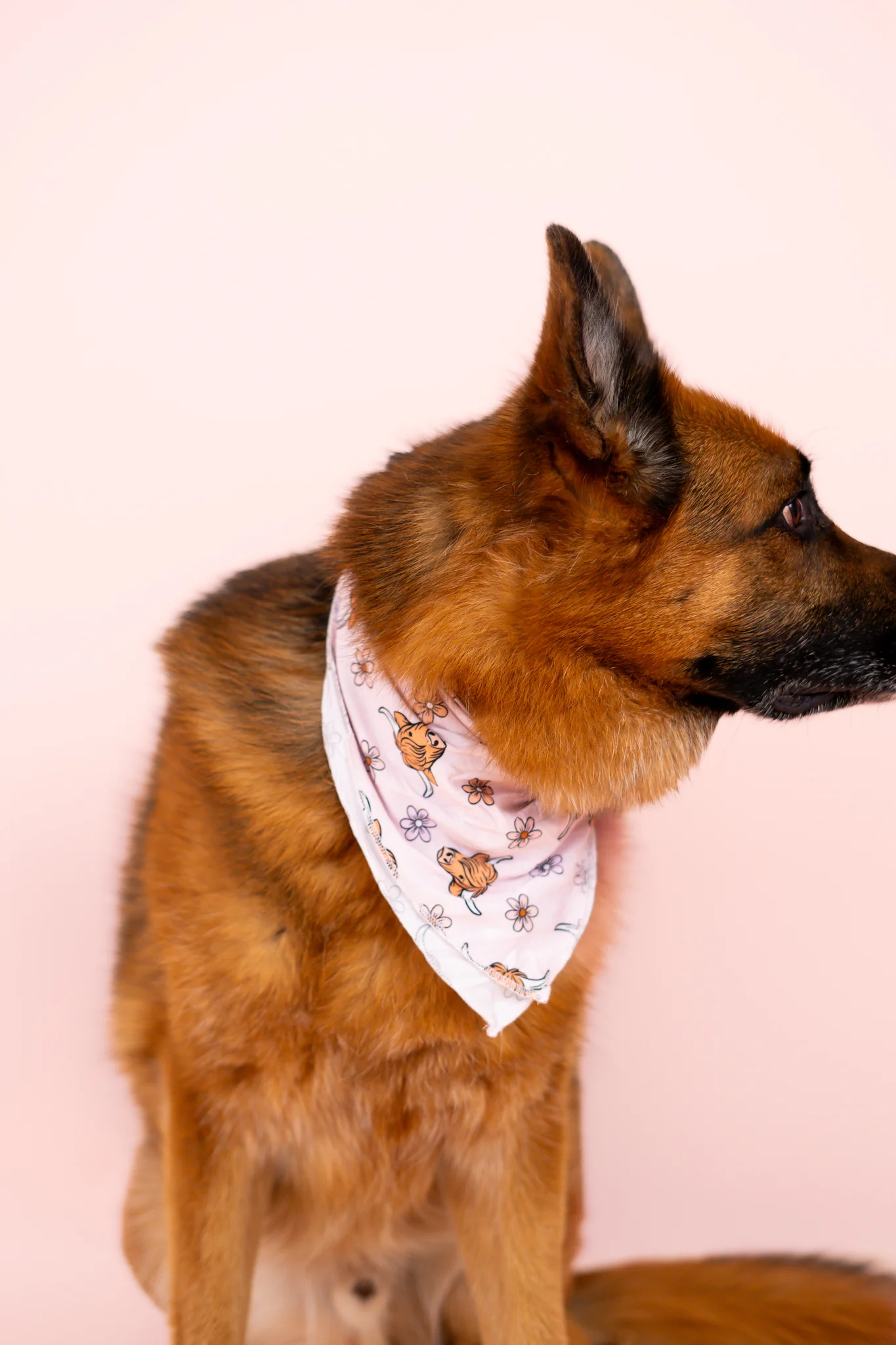 EXCLUSIVE HIGHLAND CUTIE DREAM DOG BANDANA - Image 3