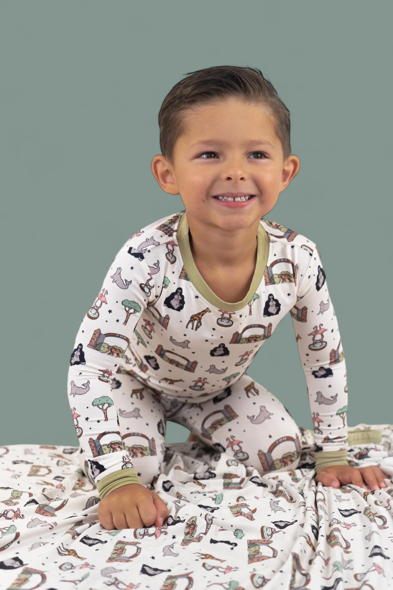 EXCLUSIVE ZOO ADVENTURES DREAM SET - Image 13