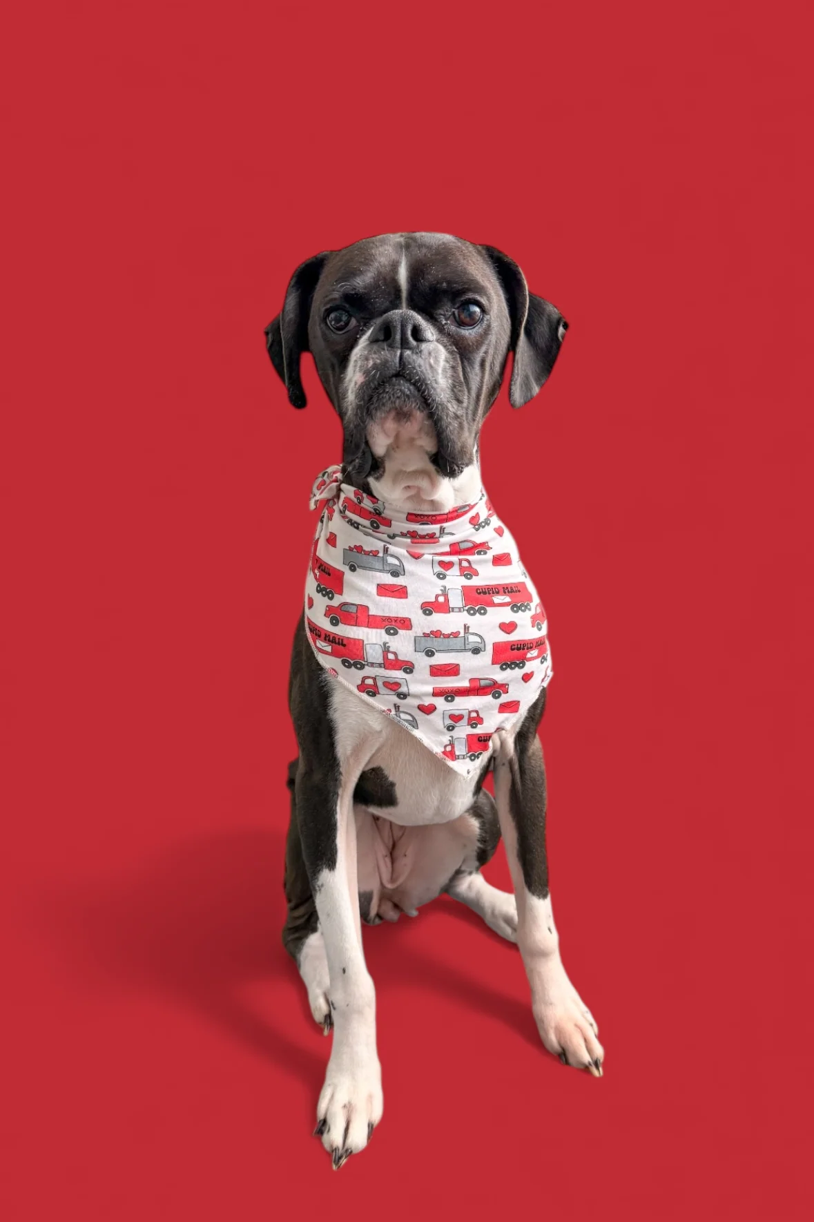 HAULIN' HEARTS DREAM DOG BANDANA