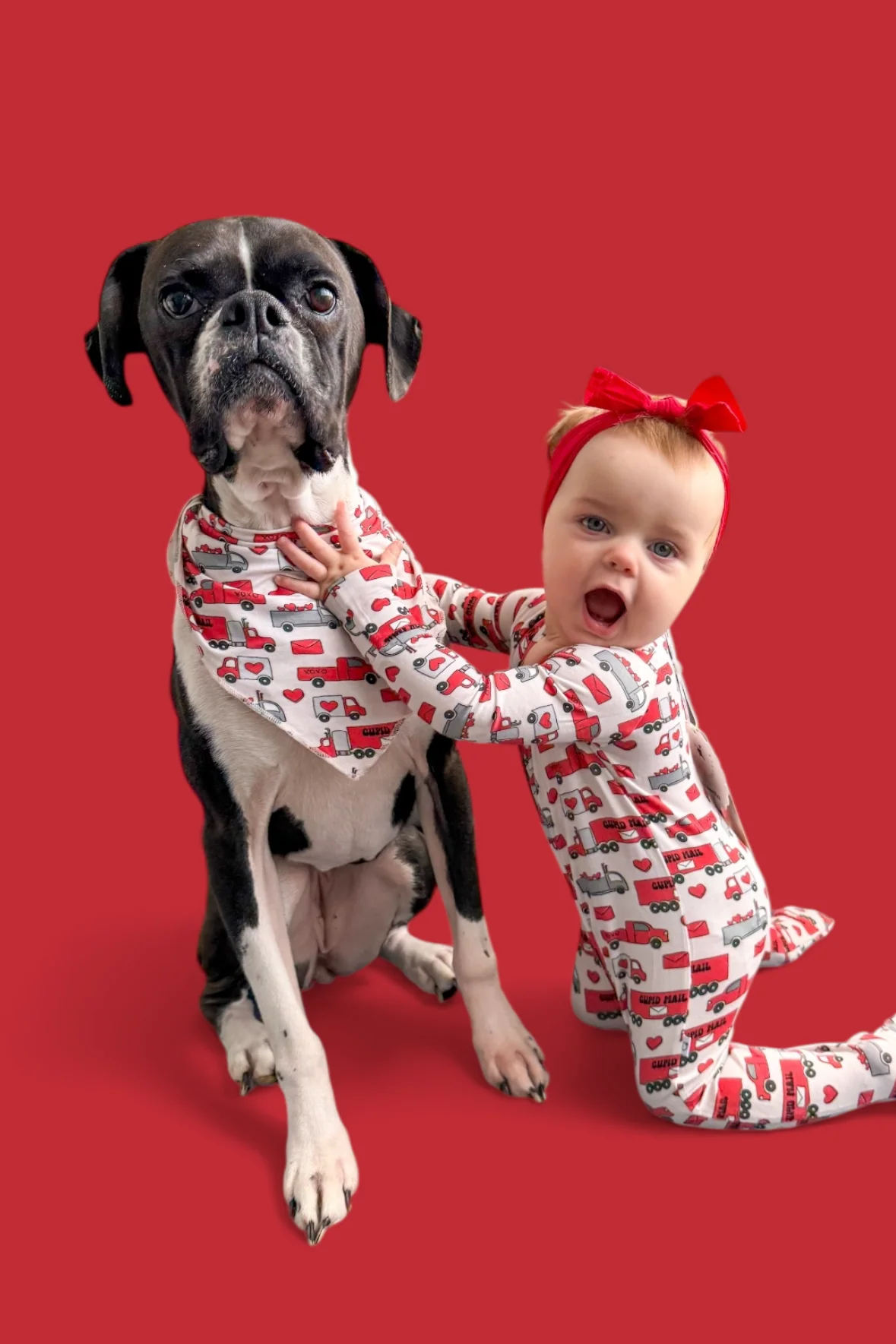 HAULIN' HEARTS DREAM DOG BANDANA - Image 3