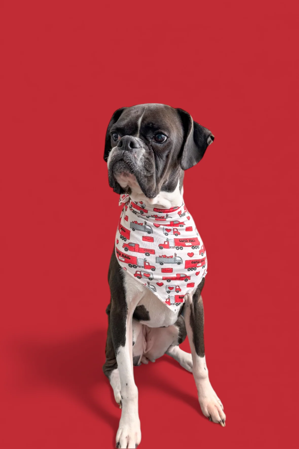 HAULIN' HEARTS DREAM DOG BANDANA - Image 4