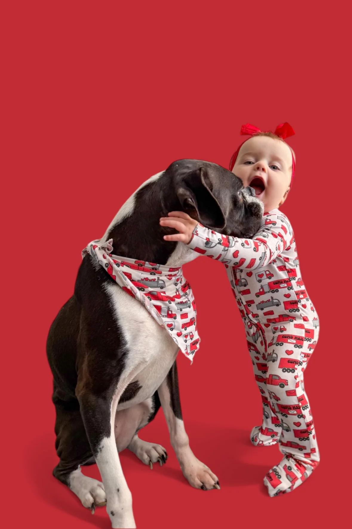HAULIN' HEARTS DREAM DOG BANDANA - Image 5