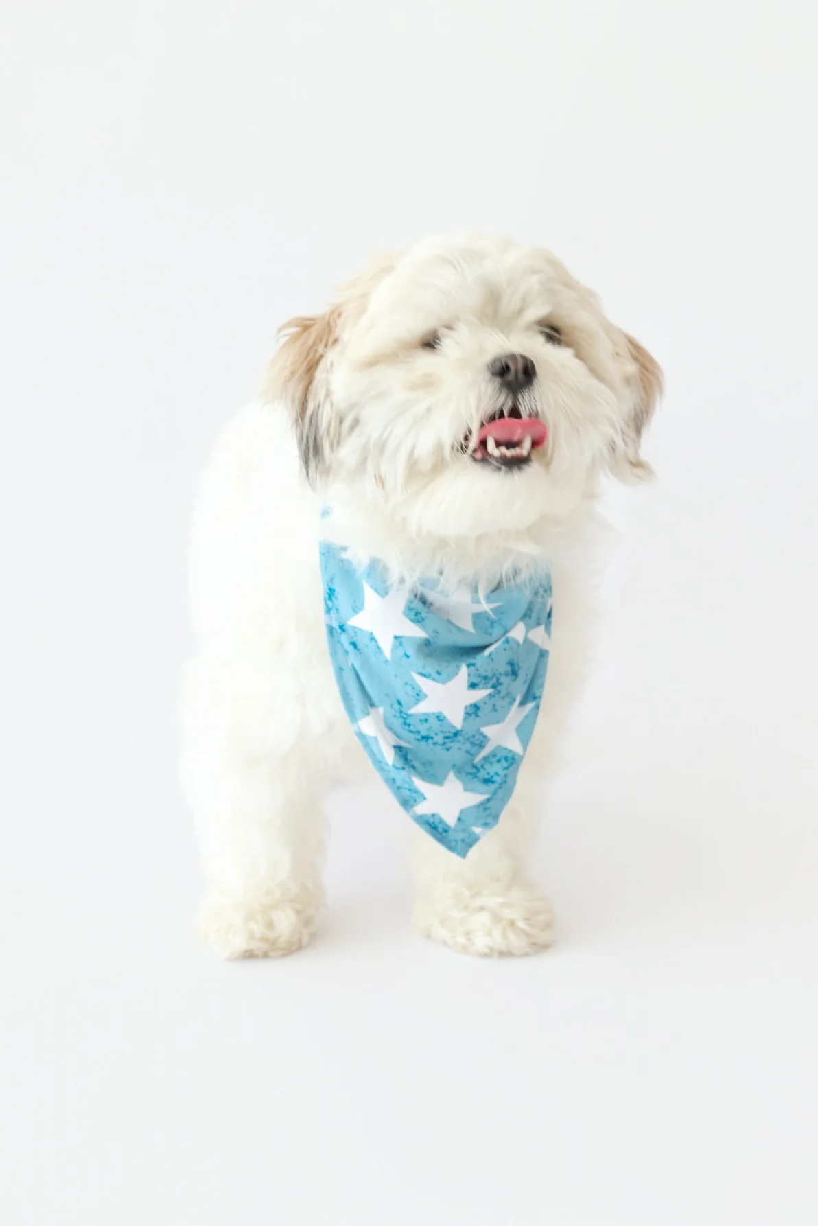 LITTLE LIBERTY STARS DREAM DOG BANDANA