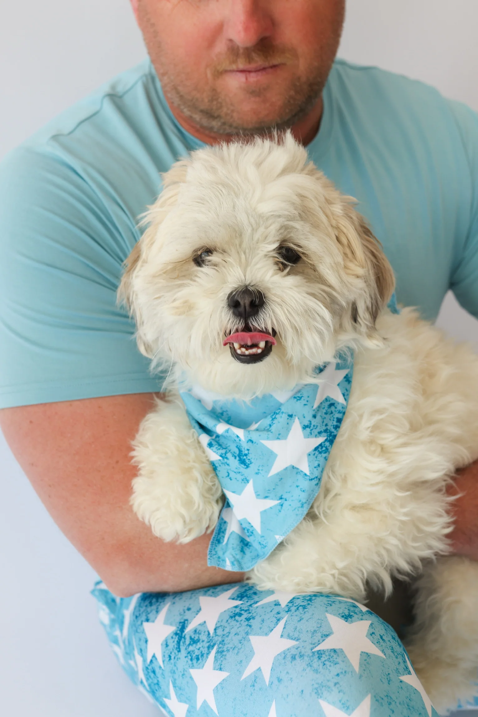 LITTLE LIBERTY STARS DREAM DOG BANDANA - Image 3