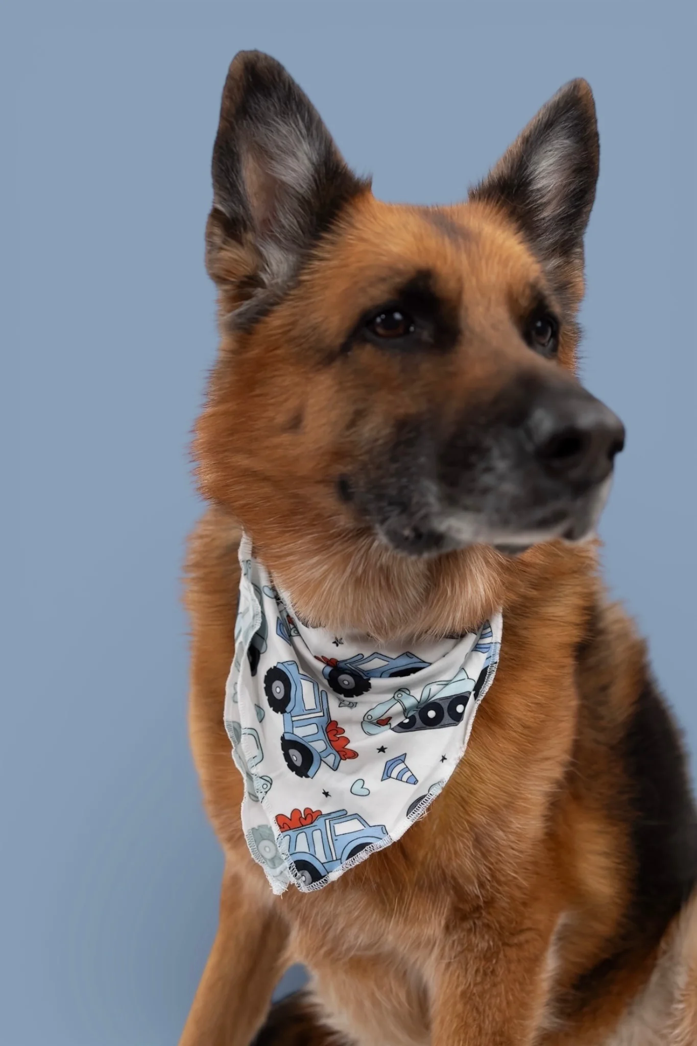 LOVE UNDER CONSTRUCTION DREAM DOG BANDANA