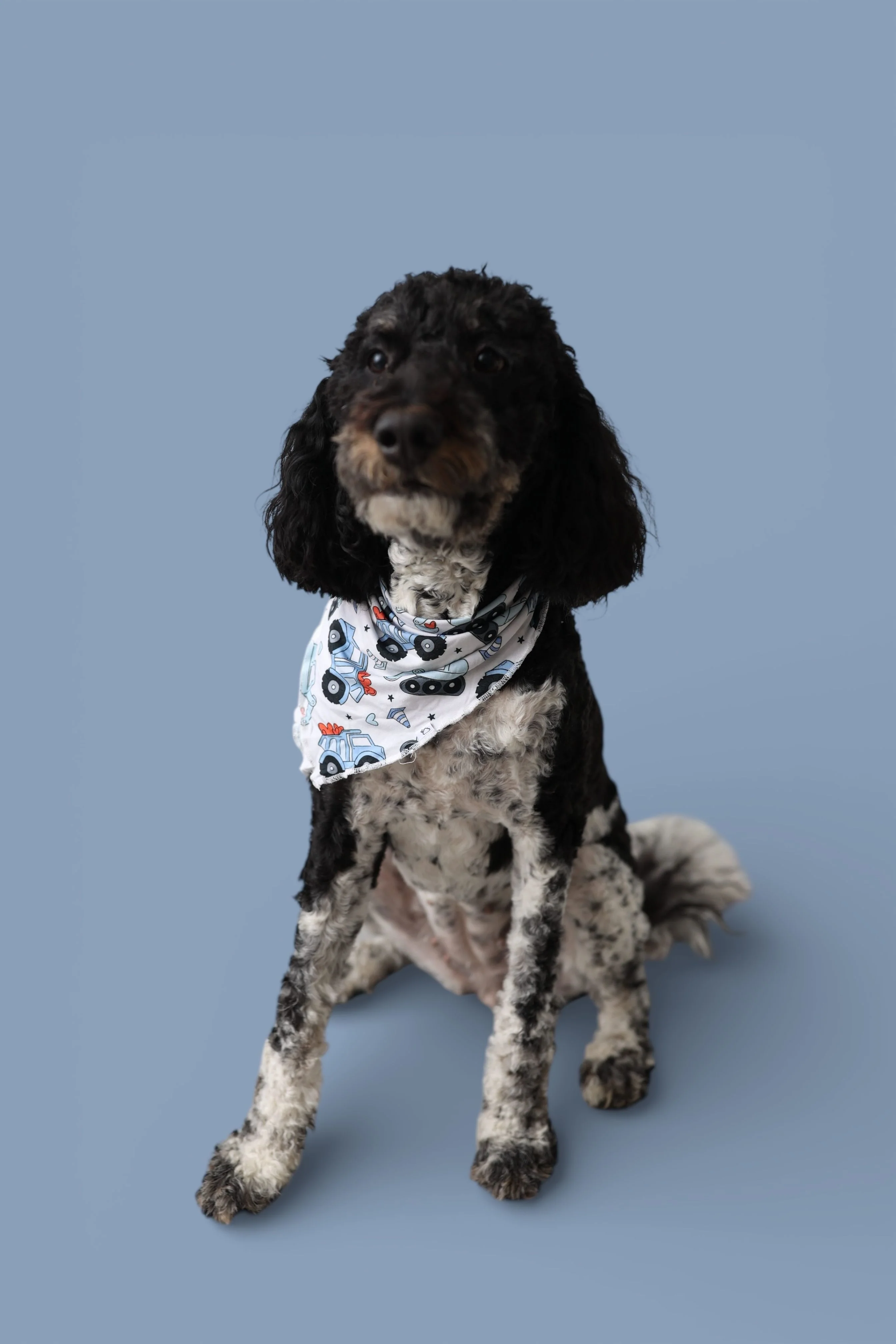 LOVE UNDER CONSTRUCTION DREAM DOG BANDANA - Image 3
