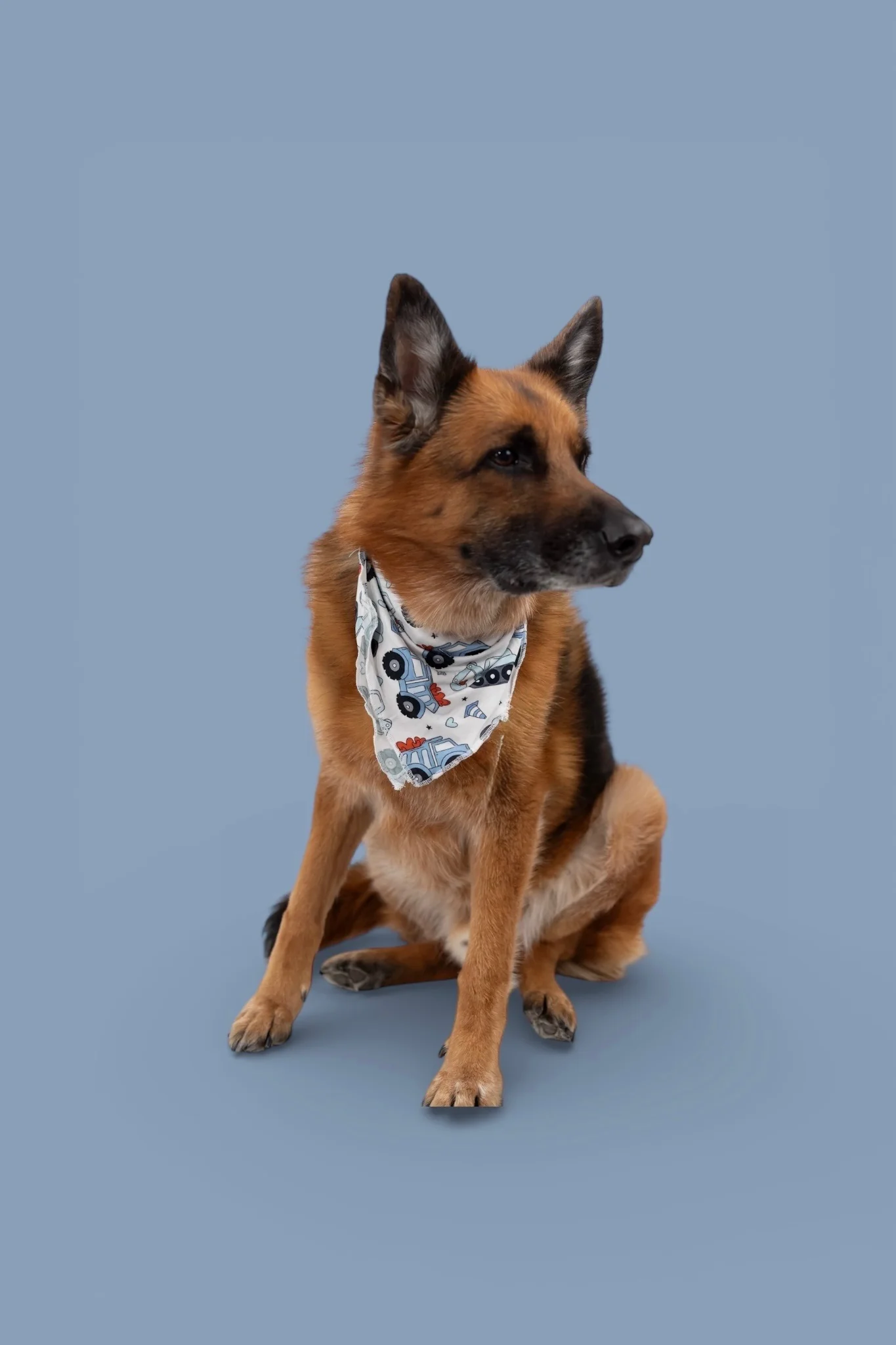 LOVE UNDER CONSTRUCTION DREAM DOG BANDANA - Image 4