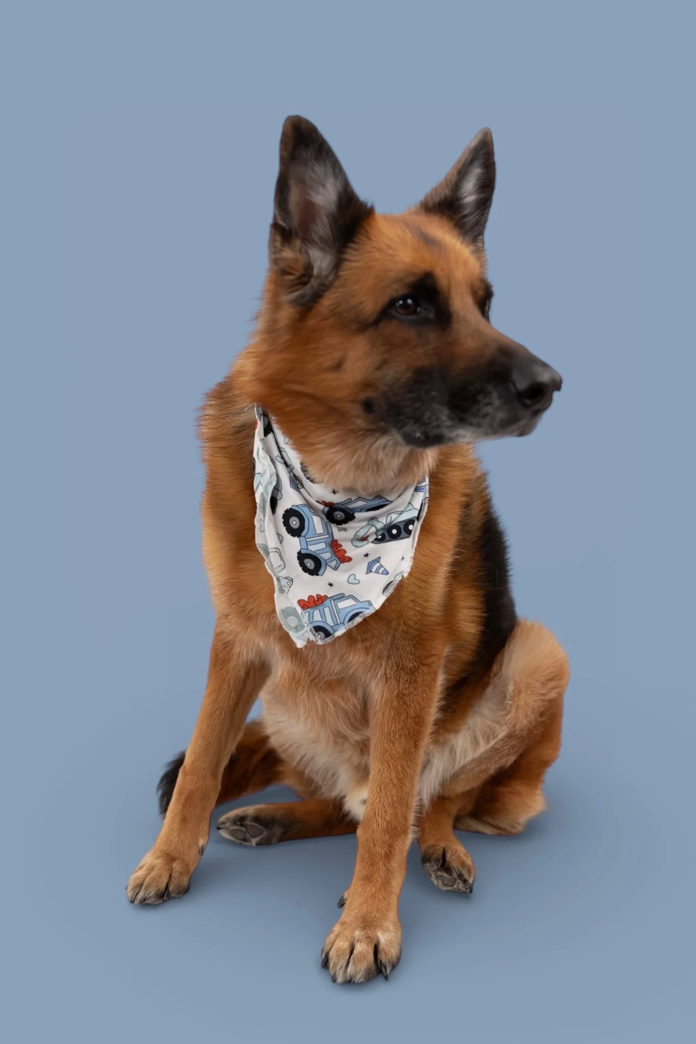 LOVE UNDER CONSTRUCTION DREAM DOG BANDANA - Image 7