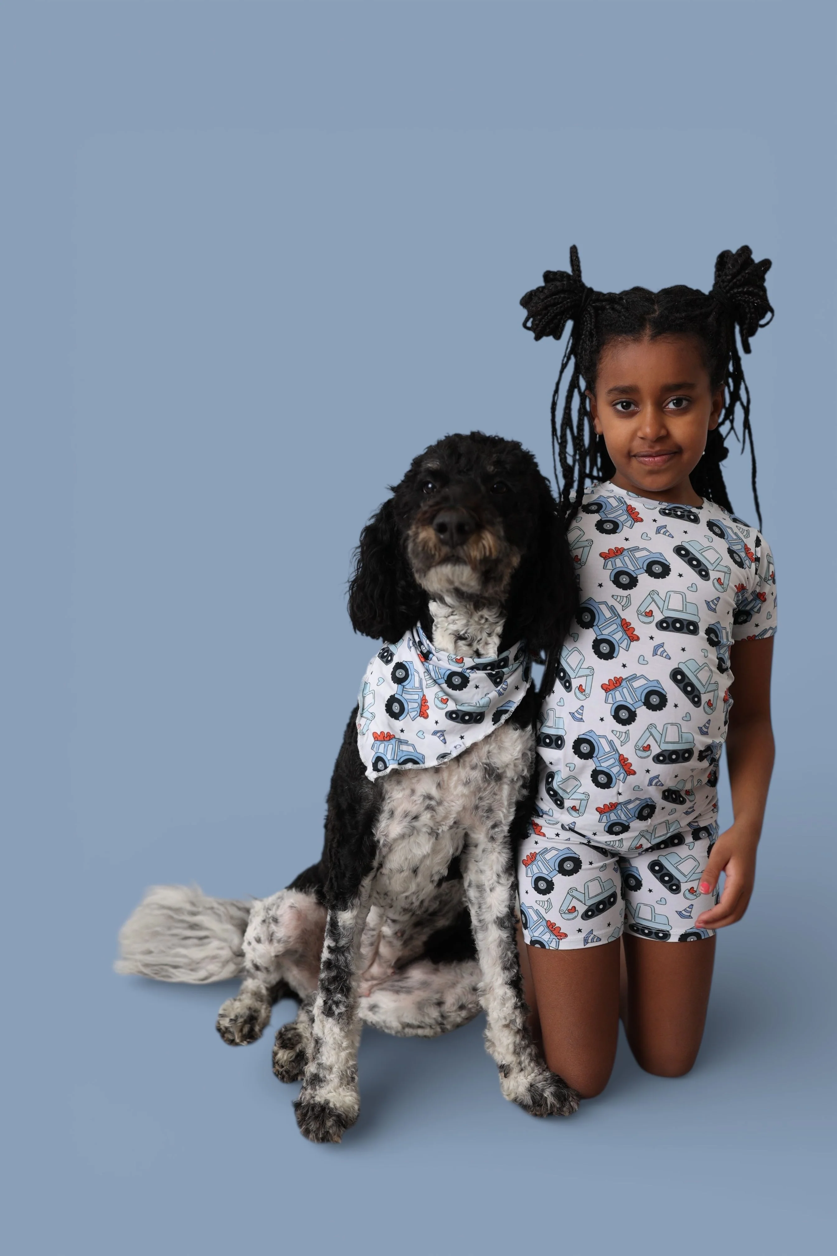 LOVE UNDER CONSTRUCTION DREAM DOG BANDANA - Image 8
