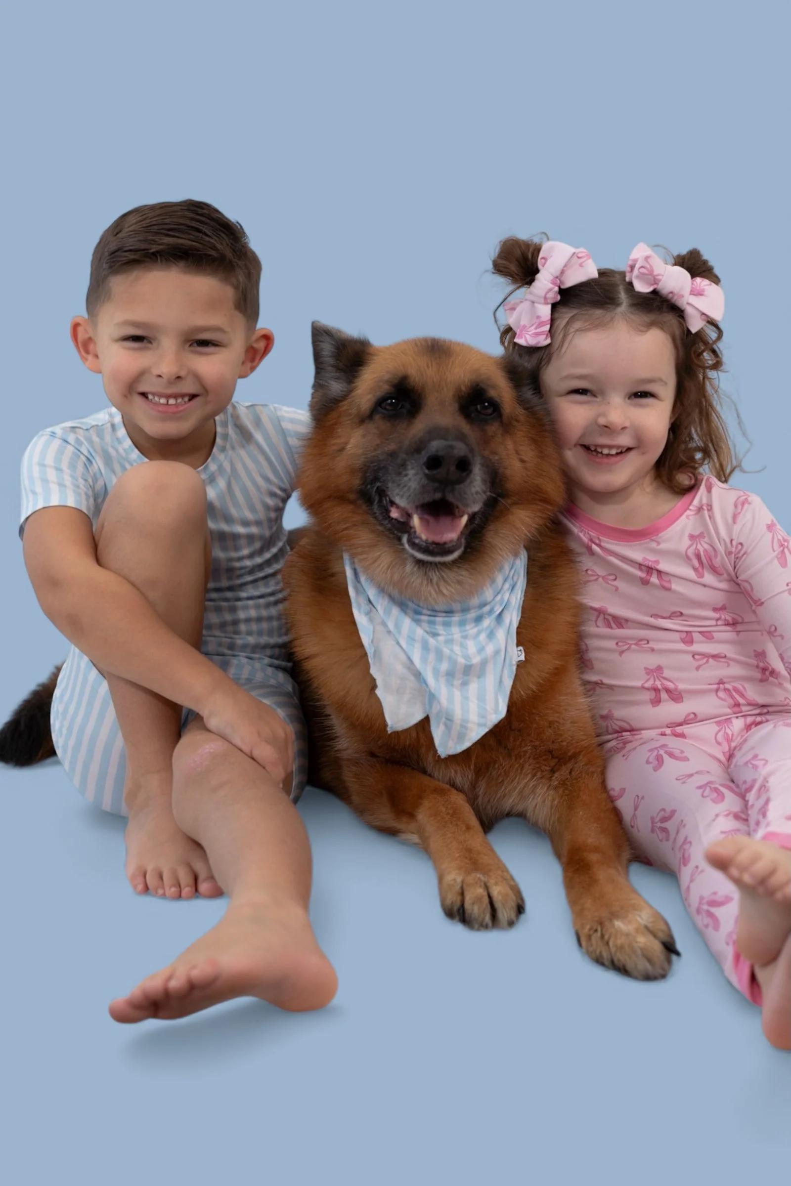 SEASIDE STRIPE DREAM DOG BANDANA - Image 5