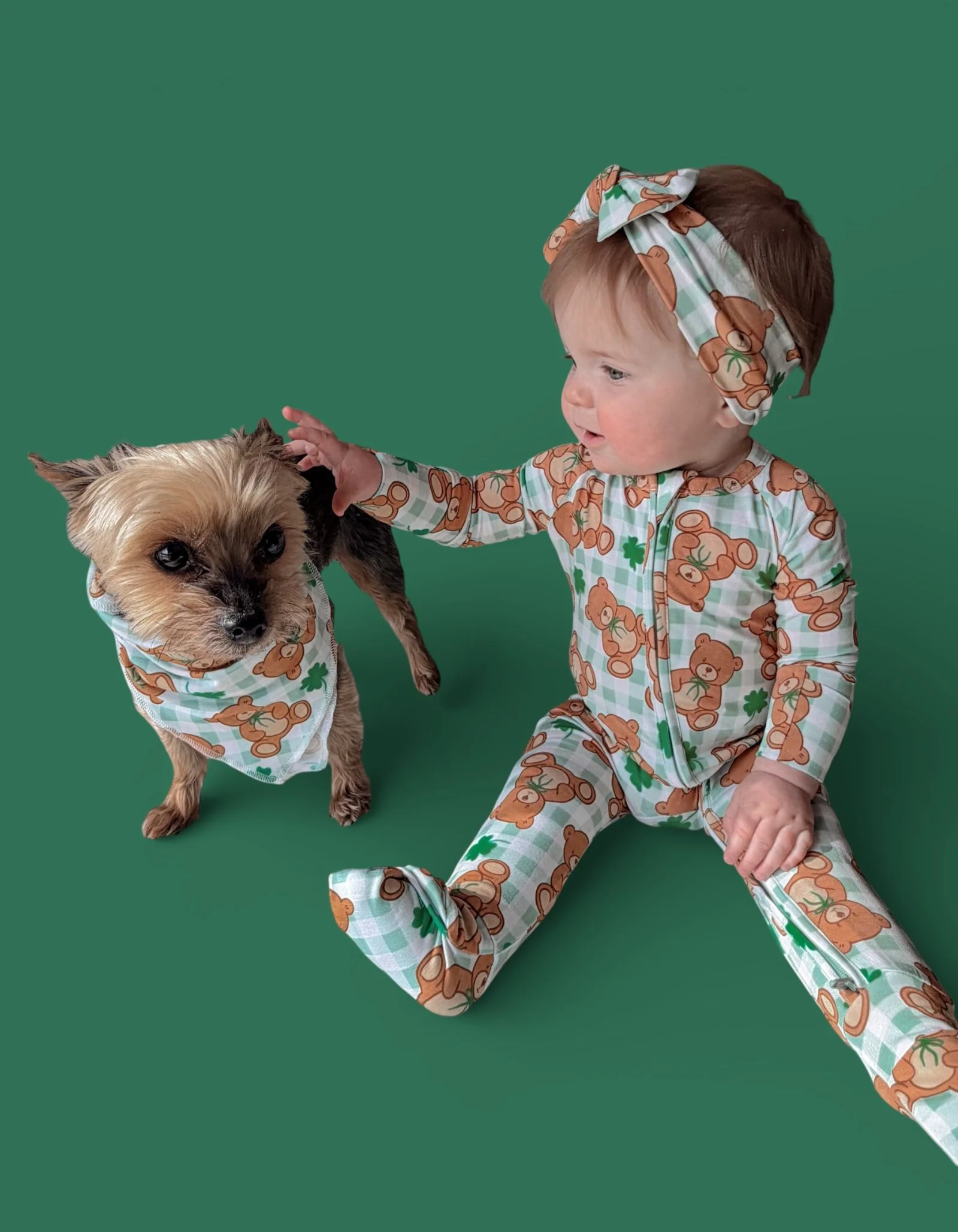 TEDDY O'LUCK DREAM DOG BANDANA - Image 13