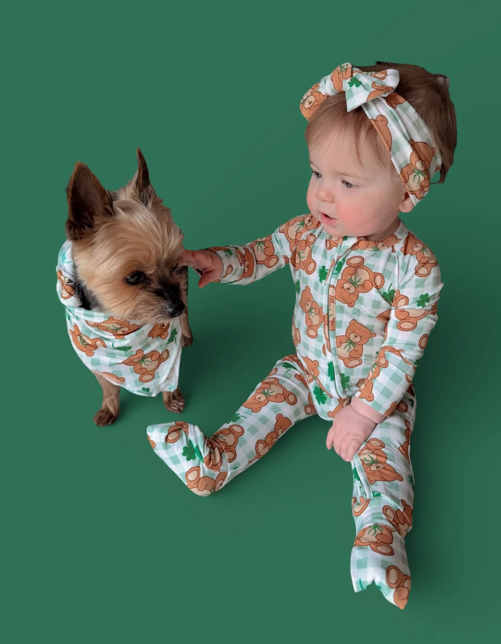 TEDDY O'LUCK DREAM DOG BANDANA - Image 4