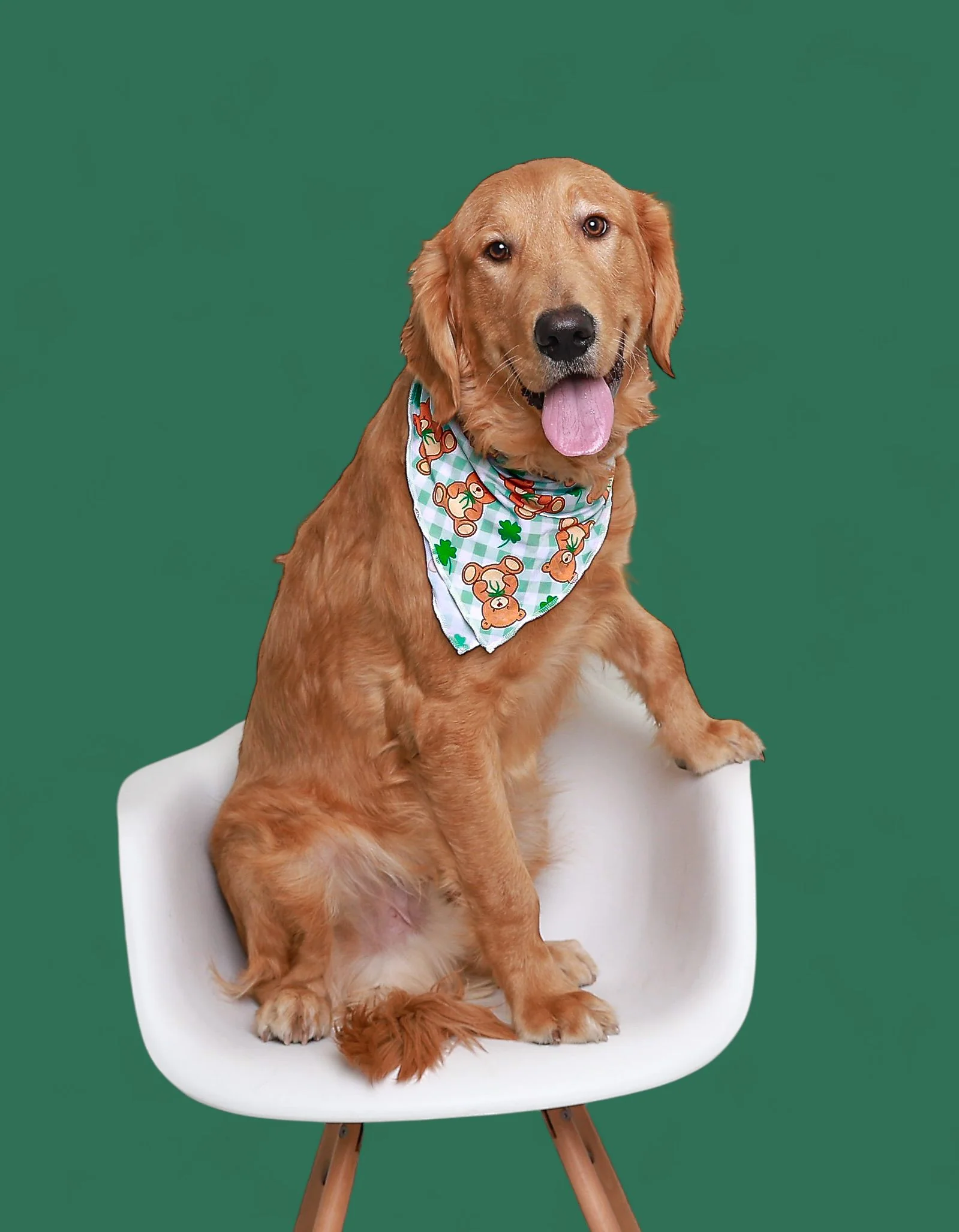TEDDY O'LUCK DREAM DOG BANDANA - Image 9