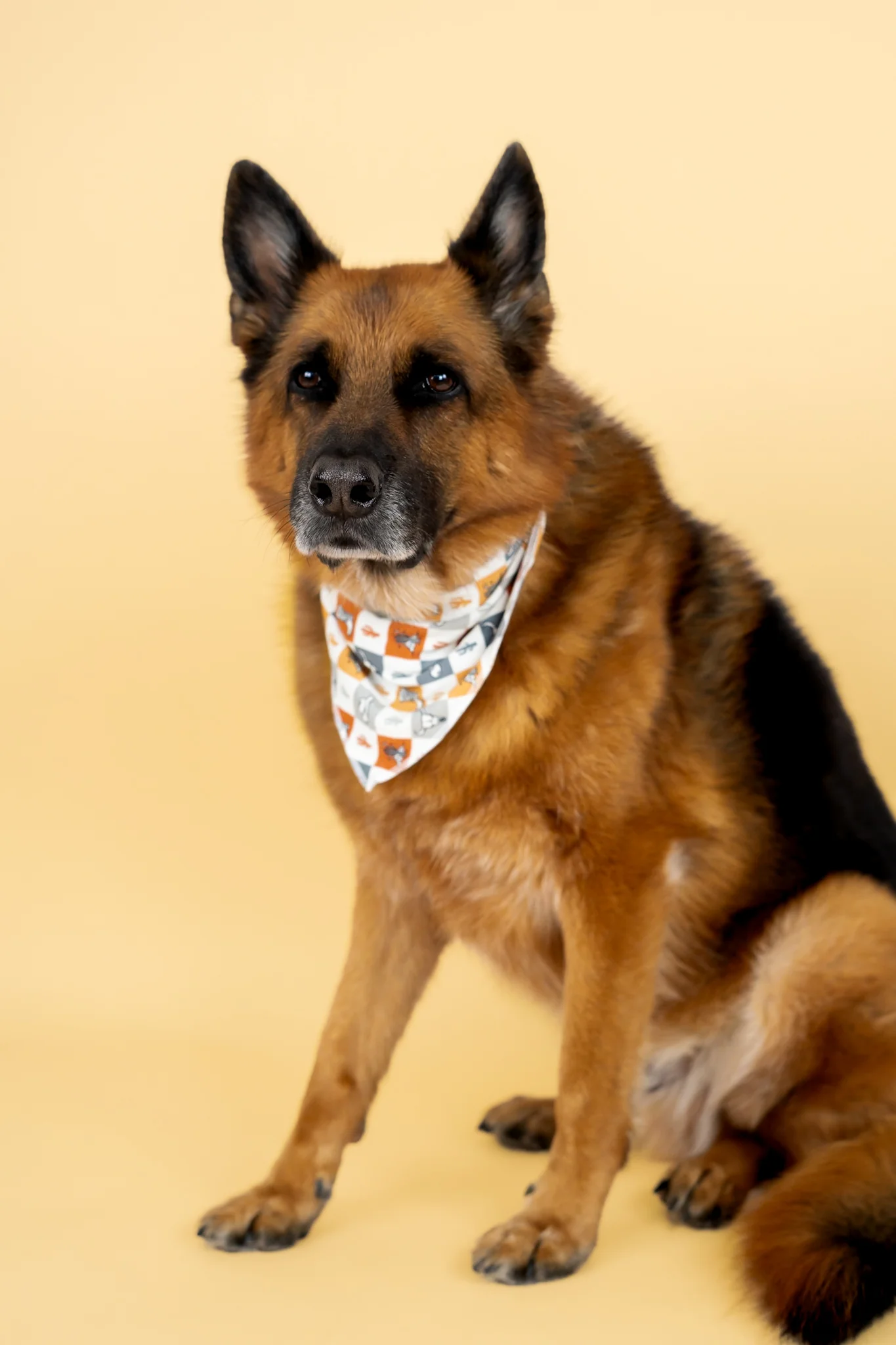 WILD WEST CHECKERS DREAM DOG BANDANA - Image 6